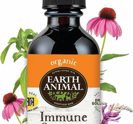 Herbal Remedies for Immune System Support