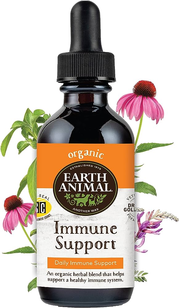 Herbal Remedies for Immune System Support